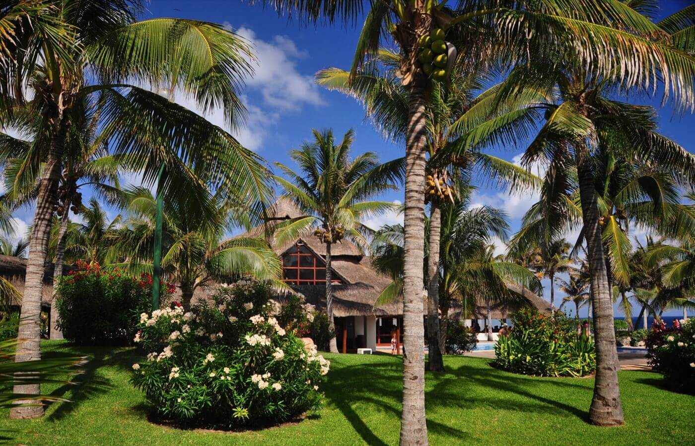 Garden area with palm trees in hotel The Pyramid at Grand Oasis