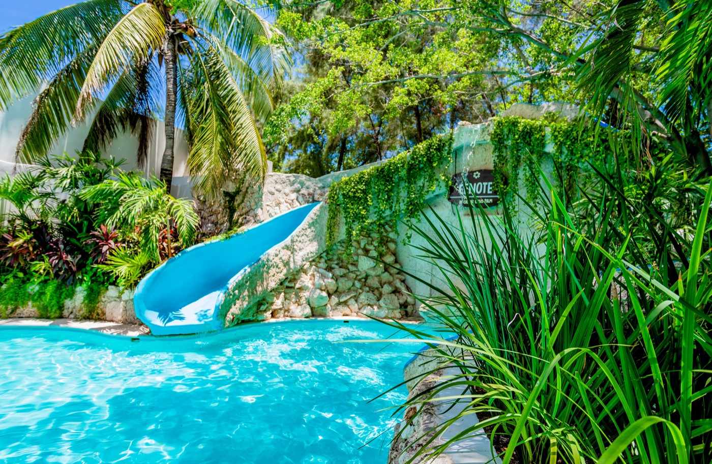 Beds under palm trees on the beach at Hotel Grand Oasis Palm