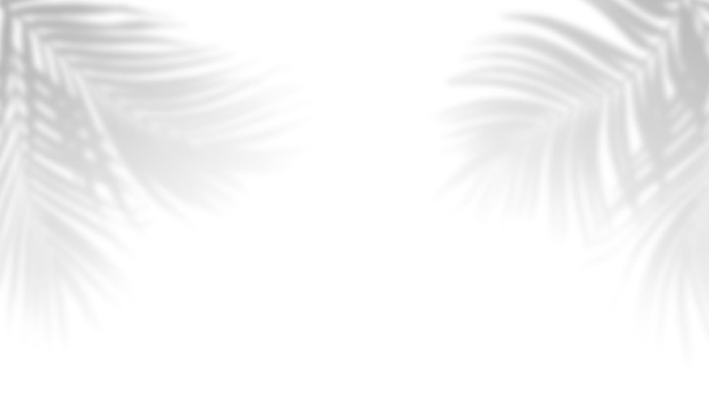 Fondo de palmeras