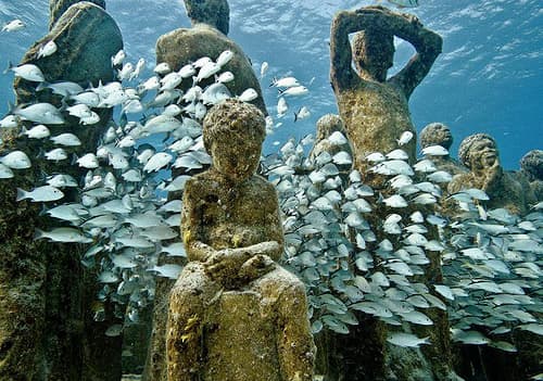 Snorkel en MUSA, Cancún