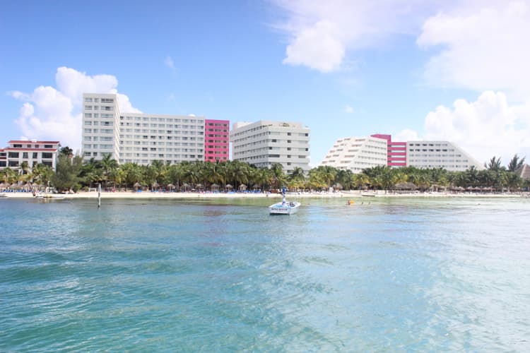Oasis Palm, como nuevo