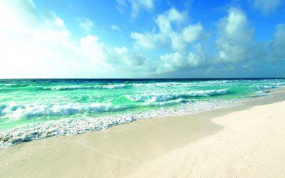 Which is the best Oasis hotel?