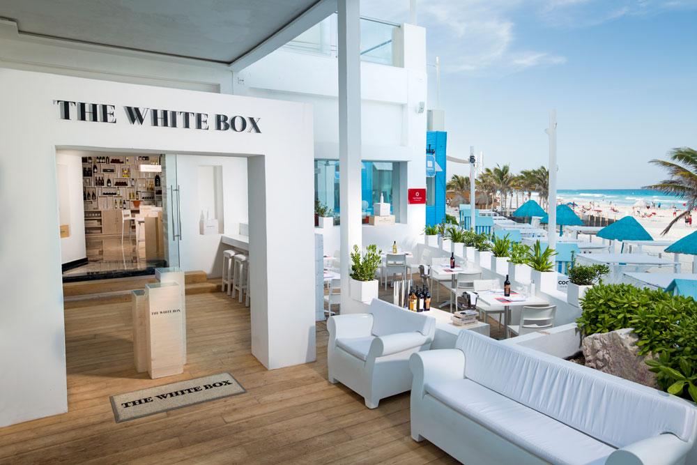 Haute Cuisine in Cancun and Tulum: Discover The White Box