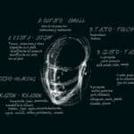 Imagen de blog