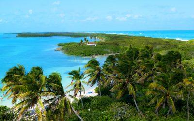 Contoy Island Tour