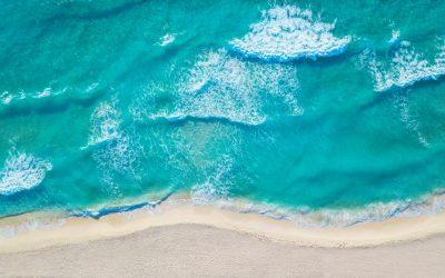 Actividades en Isla Blanca