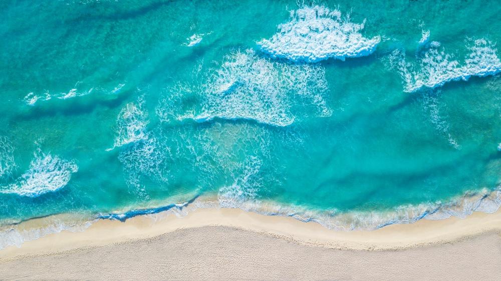 Activities in Isla Blanca