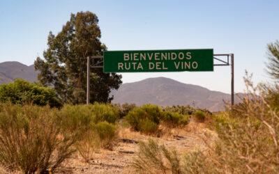 The Guadalupe Valley vineyards