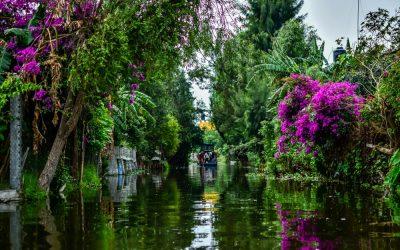Get to know Xochimilco