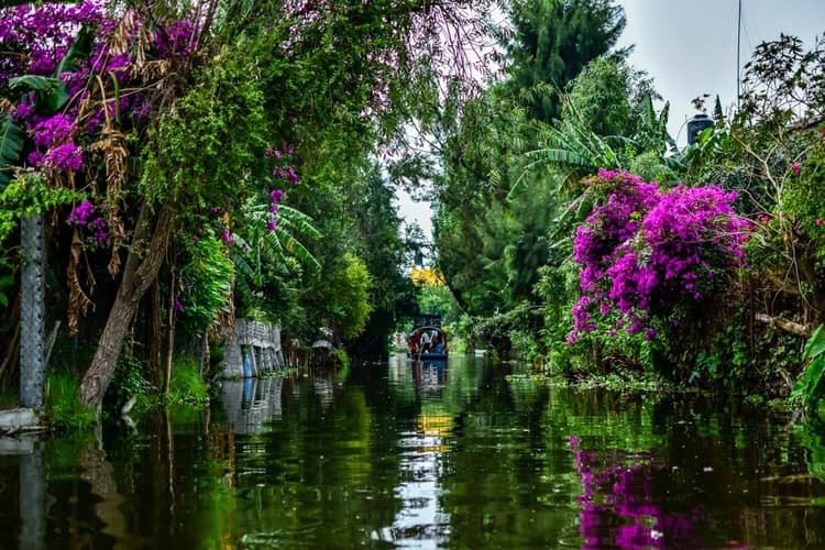 Panorámica de los canales en Xochimilco