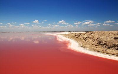 ¿Ya conoces el Río Lagartos?