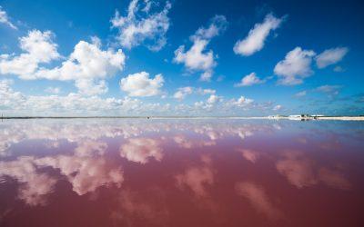 Ve a visitar Las coloradas