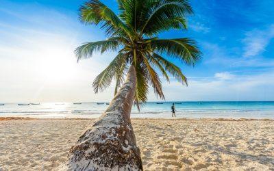 Todas las playas Paraíso de México