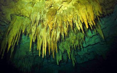 The Choo-Ha cenote