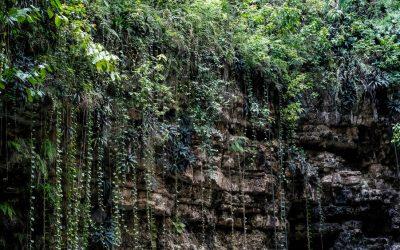 El cenote Xcajum
