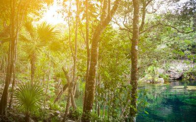 El cenote cristalino