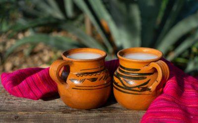 What is Pulque