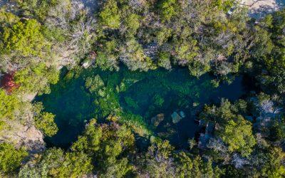 El cenote Jardín del Eden
