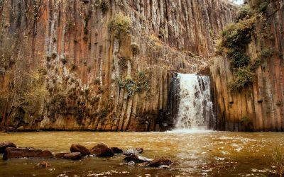 All about Hidalgo