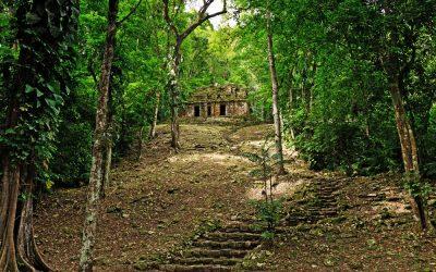 Descubre Chiapas
