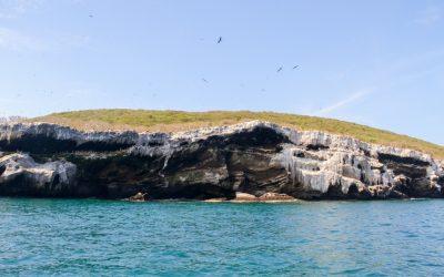 Isabel Island