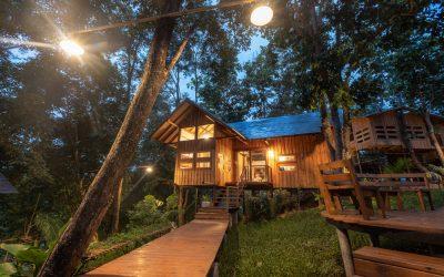 Cabins in Monterrey: all you need to know