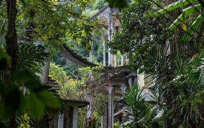 Xilitla up close
