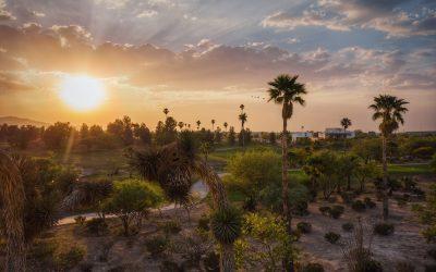Visita a Torreón