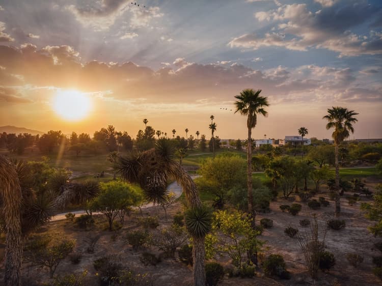 Torreón panorámica
