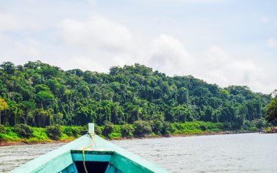 The Lacandon Jungle