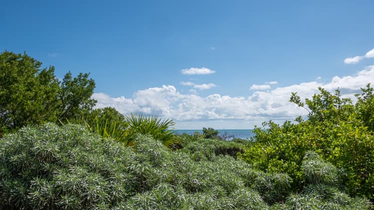Panorámica Reserva Banco Chinchorro