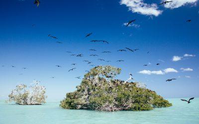 Punta Allen, the hidden village