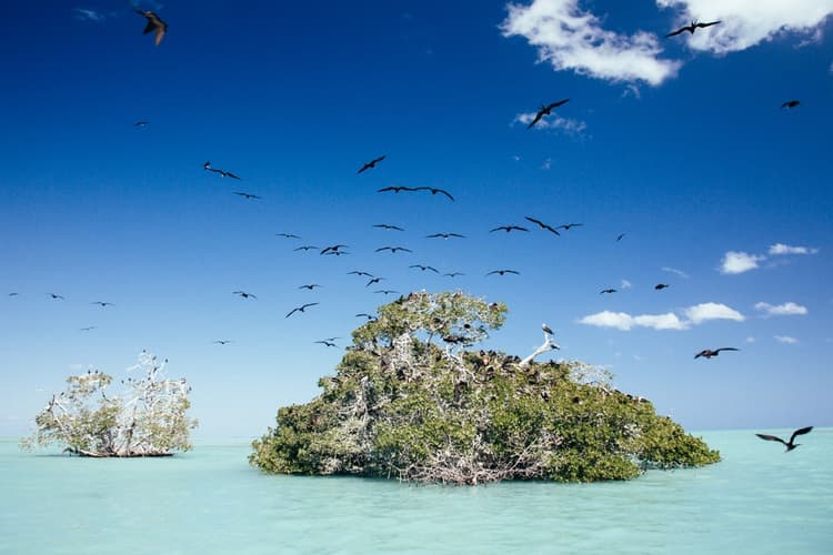 Punta Allen, o povoado escondido