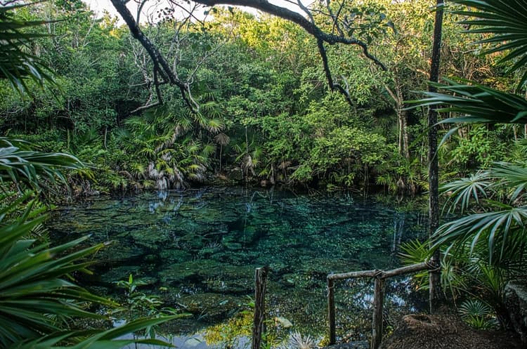 Tankah panorámica cenote