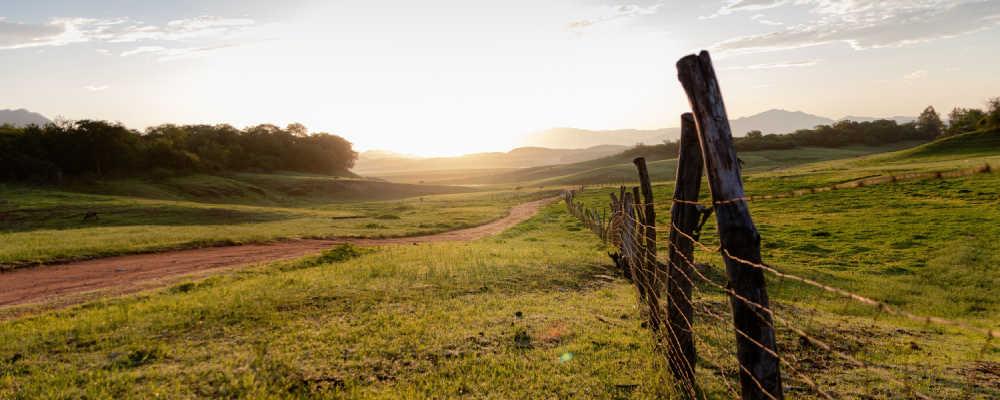Un Viaje por Sinaloa de Leyva