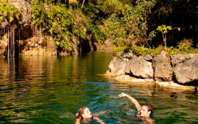 Xcaret Xenotes: a Tour for Nature Lovers