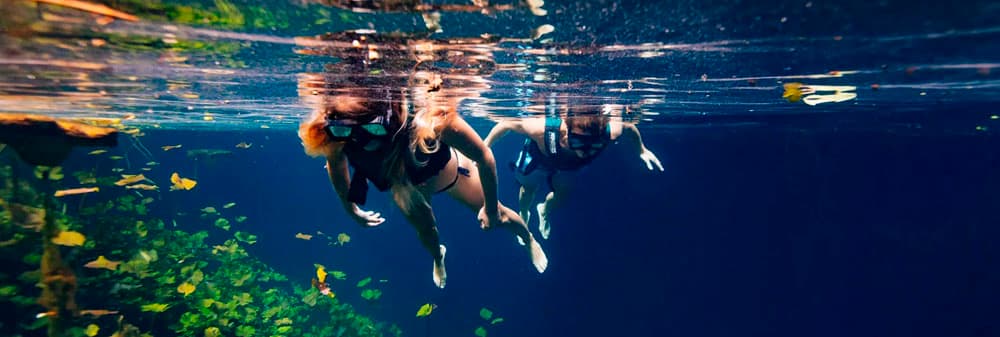 Xcaret Xenotes: um tour para os amantes da natureza