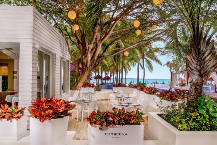 The White Box Restaurant Image