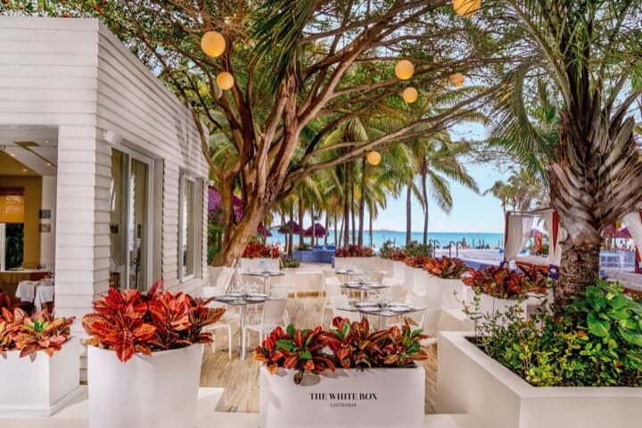 The White Box Restaurant Image