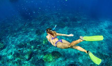 Snorkel y Arrecifes