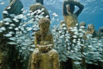 Snorkel en MUSA, Cancún