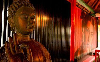 Maki Tako, the pleasure of fusion