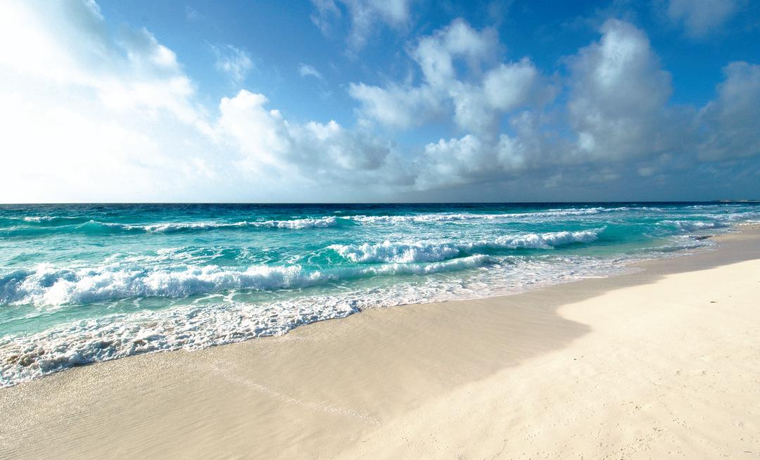 Which is the best Oasis hotel?