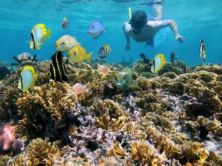7 things to do at Oasis