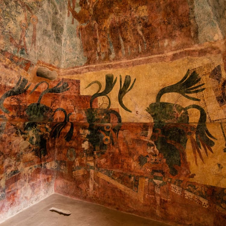 A tour of Chiapas, what to see and what to do