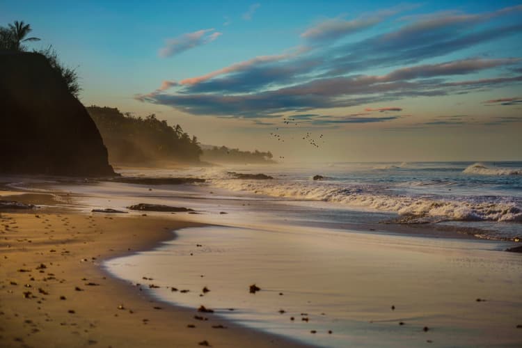 El tesoro mexicano, Riviera Nayarit