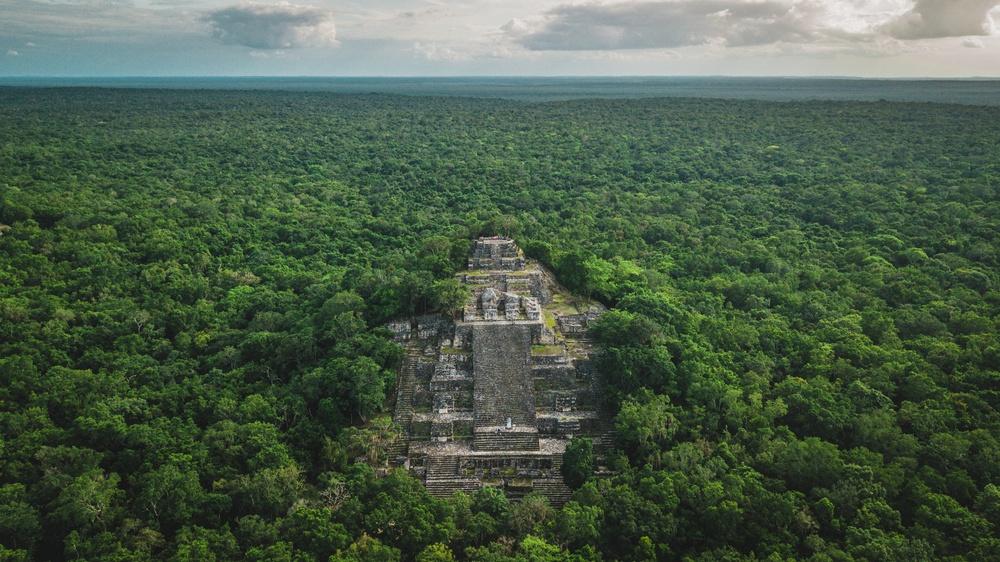 The site of Calakmul