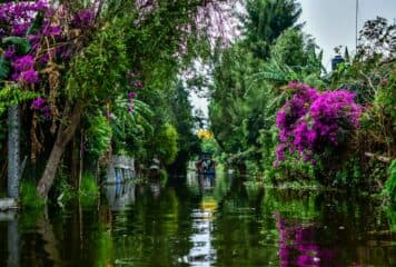 Panorámica de los canales en Xochimilco