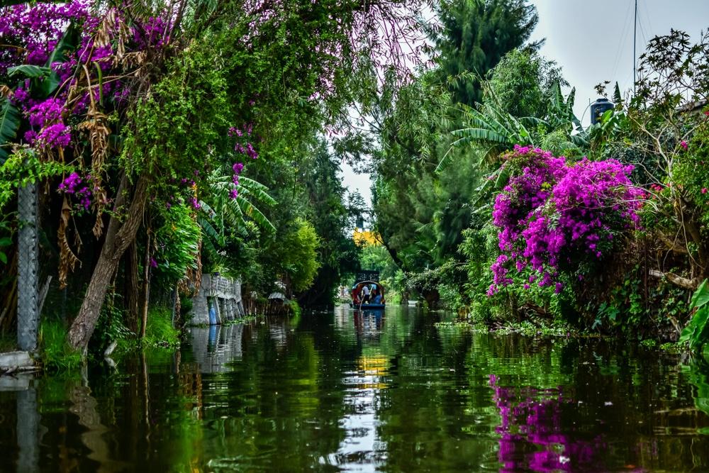 Conoce Xochimilco