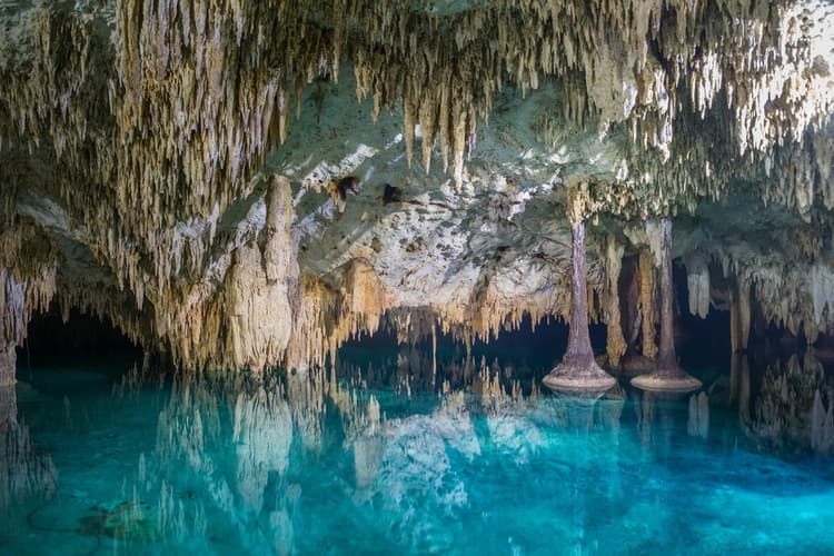 Cenotes en Sac Actun Mexico